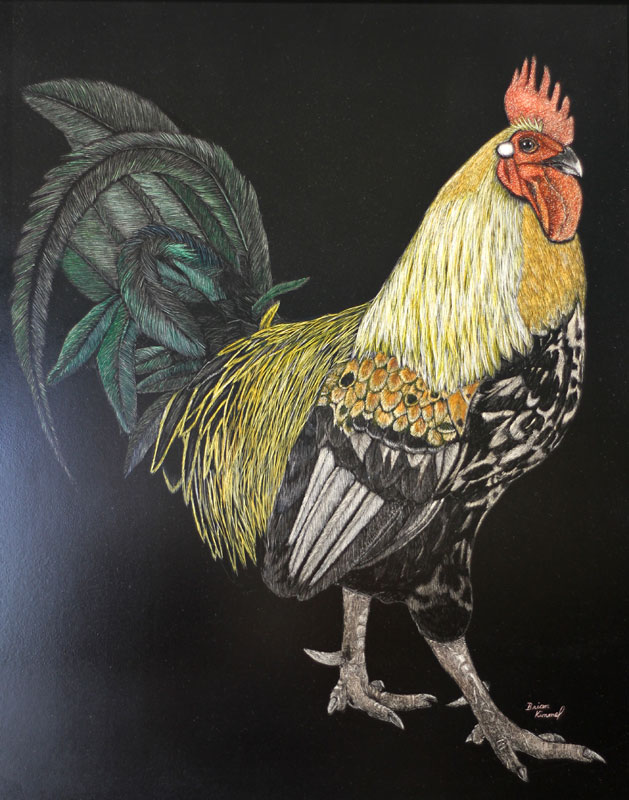 Maui artists picture it framed Brian Kimmel scratchboard Rooskie rooster